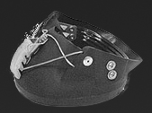 Synthetic Horseshoes