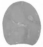 #4 Heavy Branded Leather Pads
