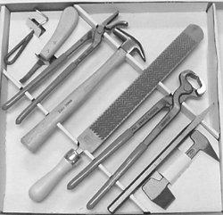 Nordic Hoof Trimming Kit