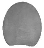 #7 Regular Leather Pads