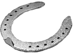 Victory Elite Flat w/Toe Clips, Large Size 2