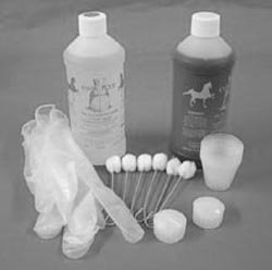 RSP Kwik-Poly Medium Repair Kit, 16 oz