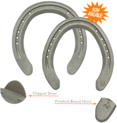 St. Croix Eventer Plus Hind with Side Clips Size 1