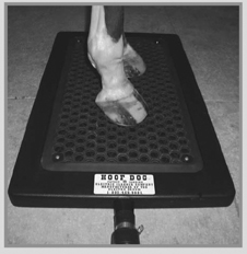 Hoof Doc Hoof Dryer
