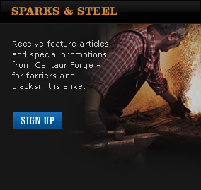 Subscribe to Sparks and Steel