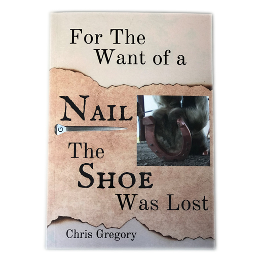 For The Want of a Nail - The Shoe Was Lost