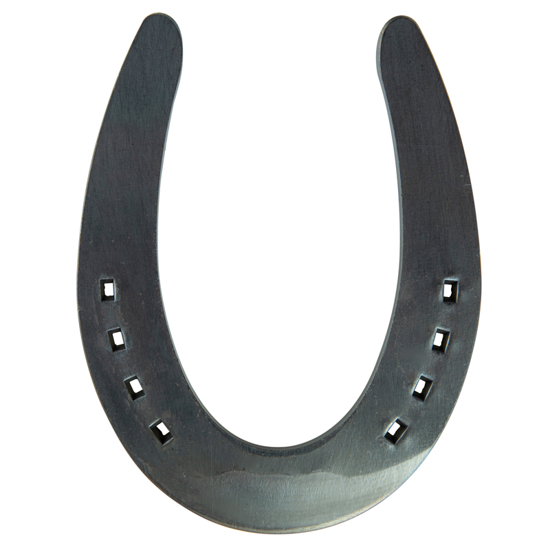 SN-12 - Double S Slider Futurity - 1