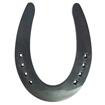 SN-11 - Double S Slider Futurity - 1